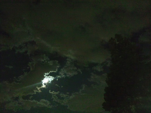 a0188926_23093860.jpg