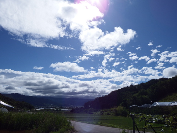 f0118332_22575760.jpg