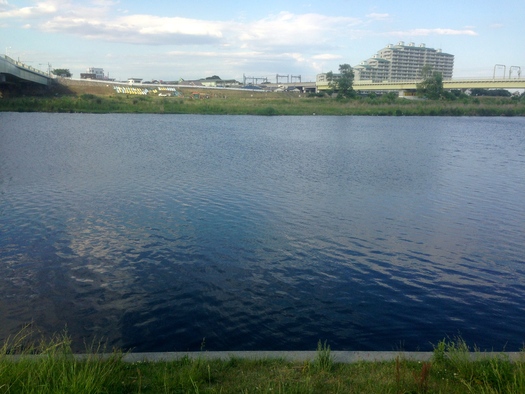 d0013834_04292.jpg