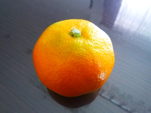 c0119335_07502334.jpg