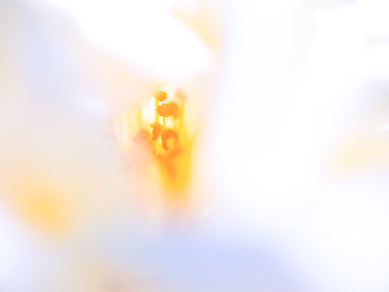 d0195335_23371510.jpg