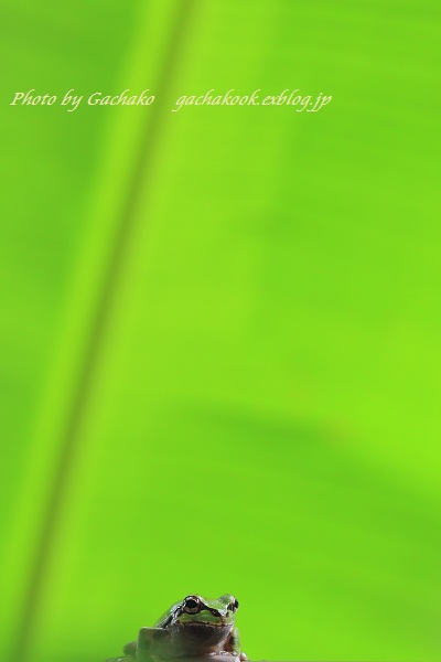 e0241944_13291632.jpg