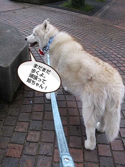 e0121548_95930.jpg