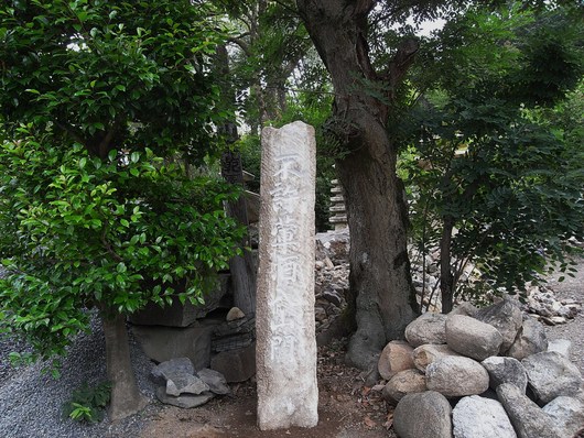 e0126548_9551123.jpg