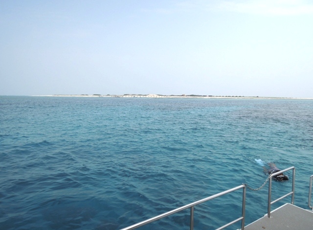 b0173754_14193956.jpg