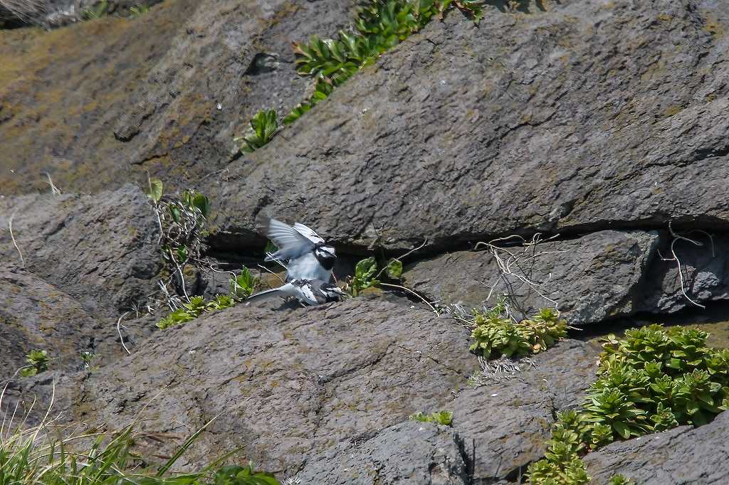 f0044056_06374437.jpg