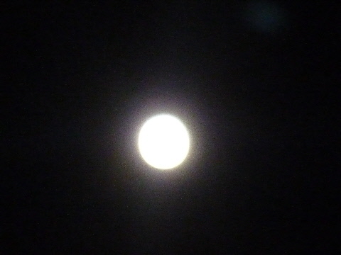 e0161972_22164011.jpg