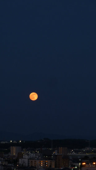 b0326576_22035104.jpg