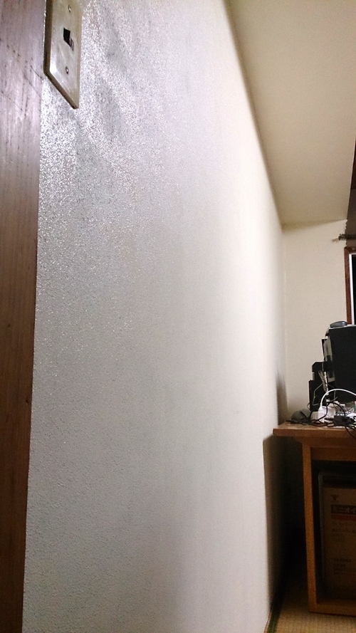 e0275478_17113.jpg