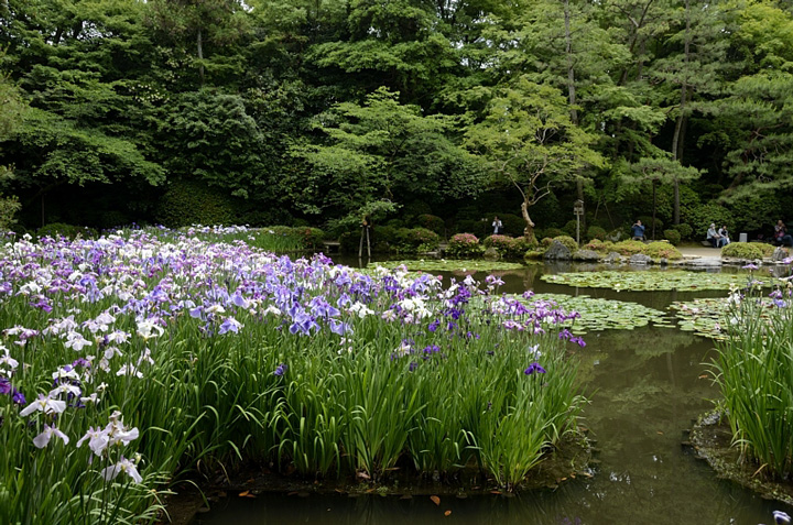 f0108478_6284942.jpg