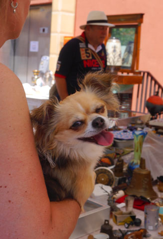 b0107891_6514151.jpg