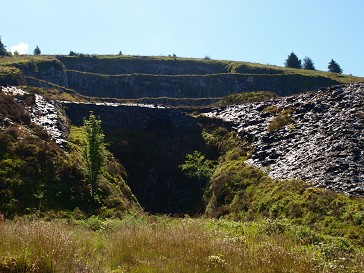 b0110999_027296.jpg