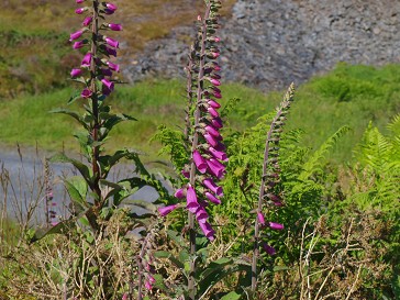 b0110999_028177.jpg