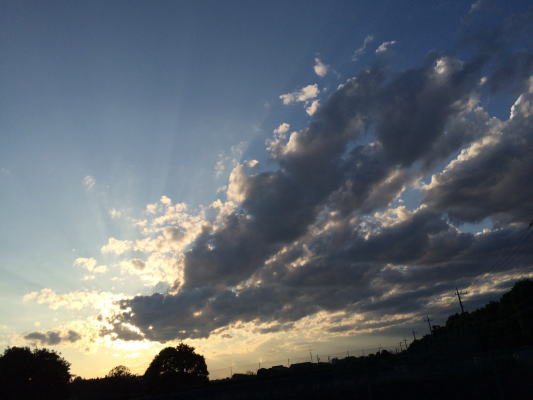 b0160300_1265139.jpg