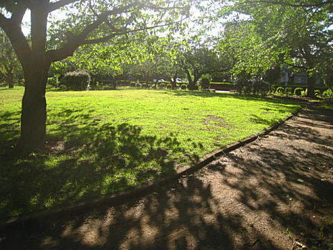 d0046702_20481174.jpg