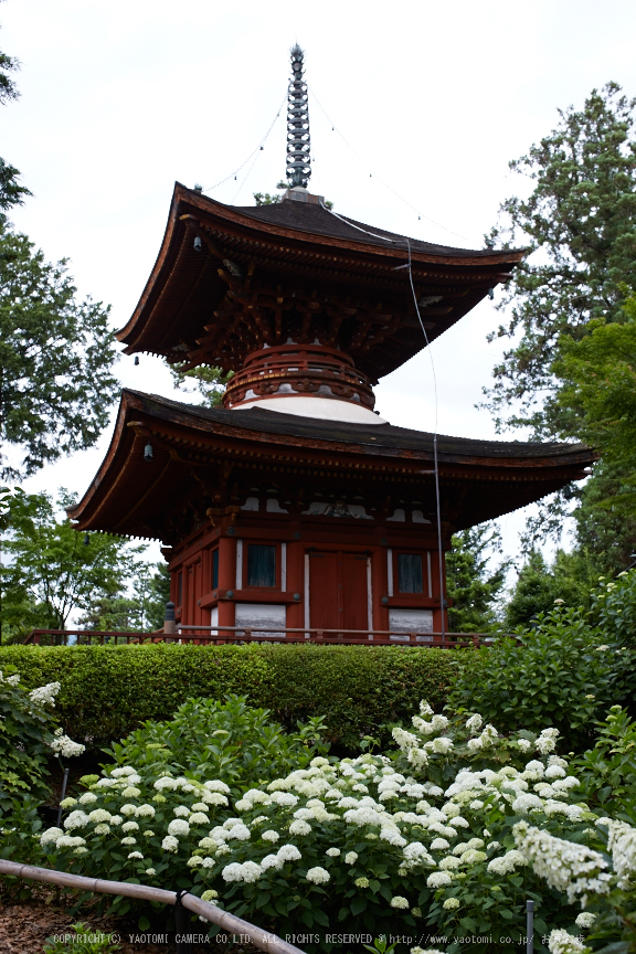 f0221510_20544551.jpg