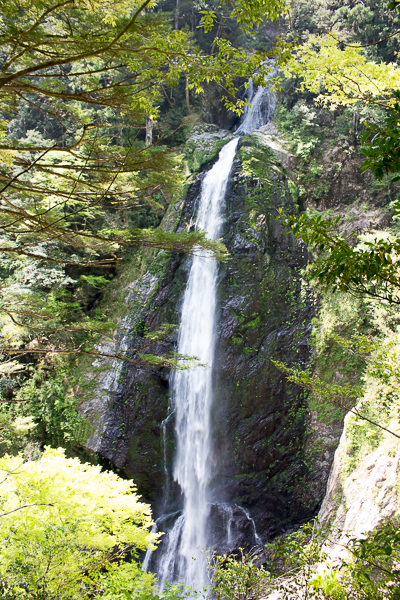 b0244811_23352925.jpg
