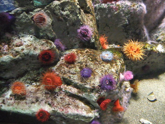 a0211315_1612470.jpg