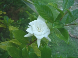 a0043520_023286.jpg