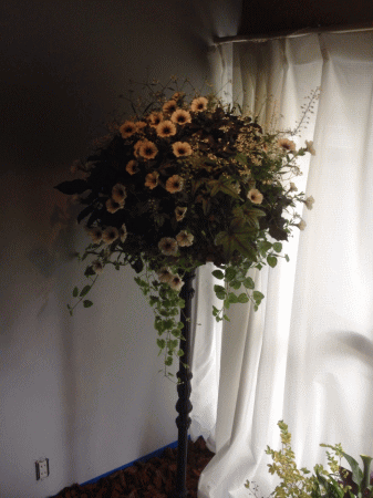 a0251920_1263935.gif