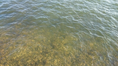 b0259124_22341374.jpg