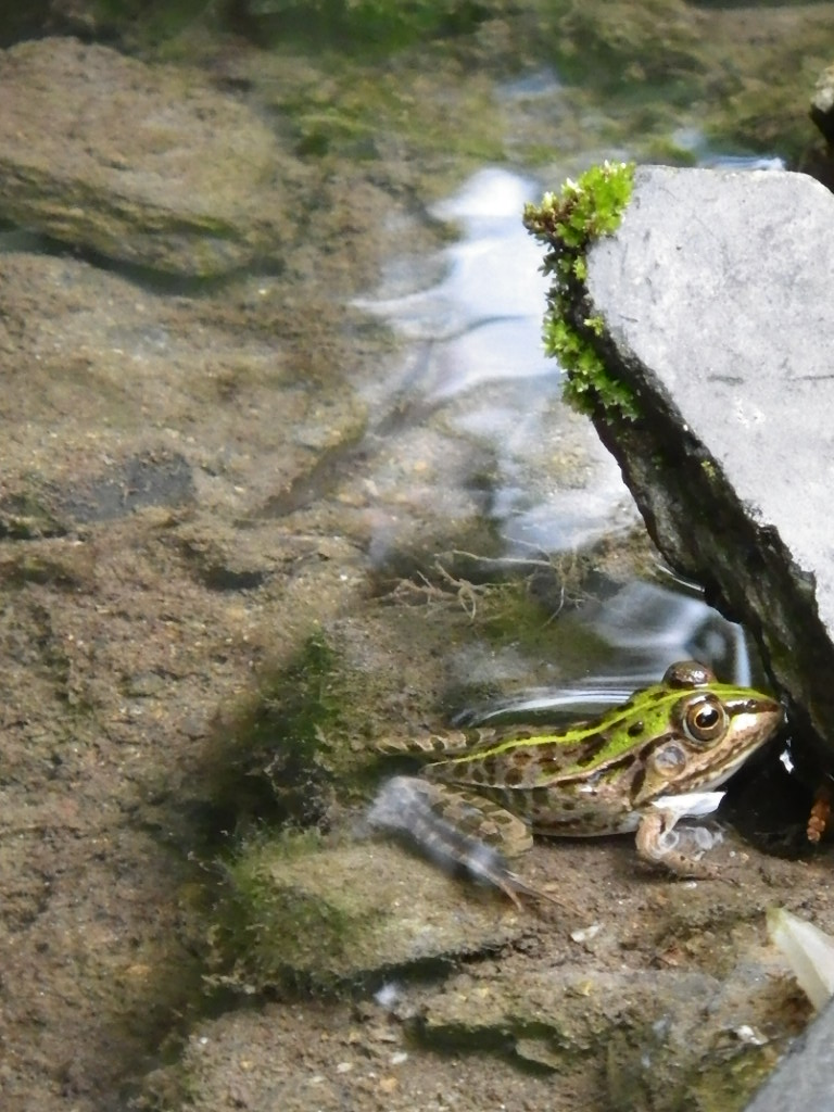 c0189724_1621820.jpg