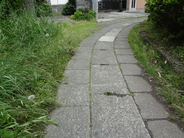 f0148927_2234177.jpg