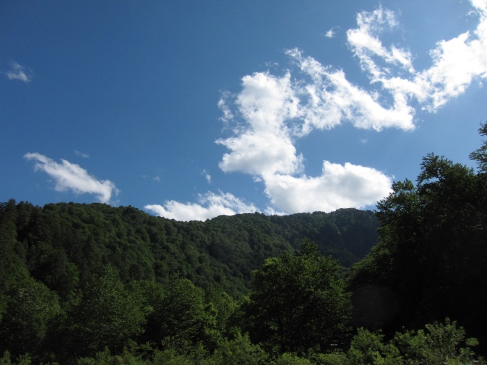 c0090530_22122614.jpg