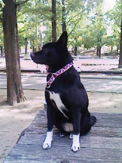 c0236632_7505899.jpg