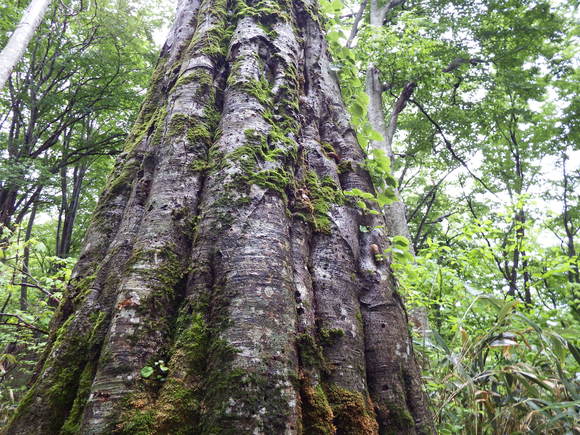 f0118332_23151860.jpg