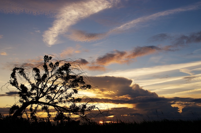 f0324332_01111324.jpg