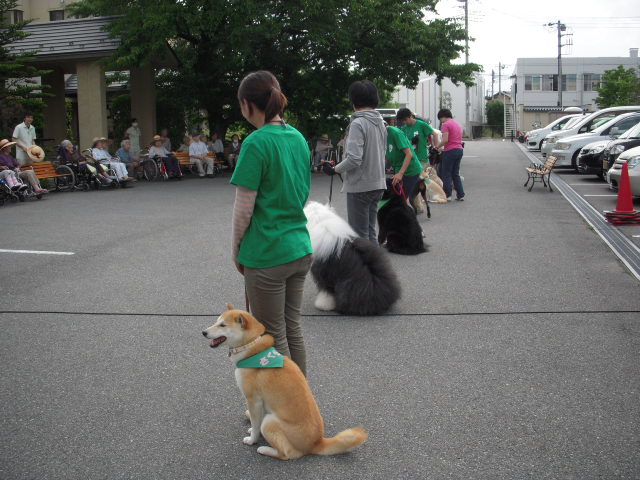 c0114833_11282258.jpg