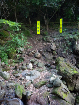 e0272335_431161.jpg