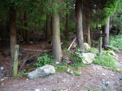 e0272335_4341733.jpg