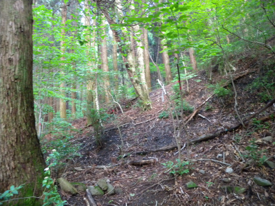 e0272335_4381772.jpg