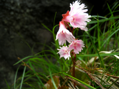 e0272335_527323.jpg