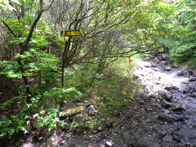 e0272335_7463175.jpg
