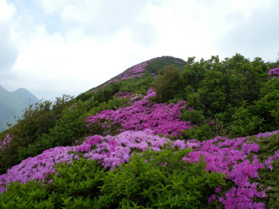 e0272335_75636.jpg