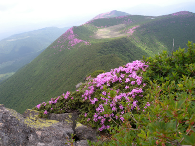 e0272335_8161058.jpg