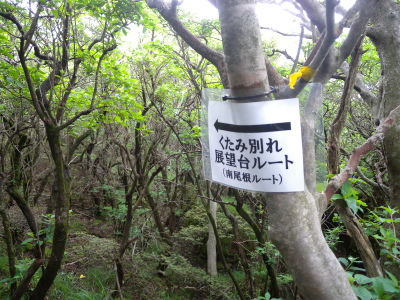 e0272335_837265.jpg