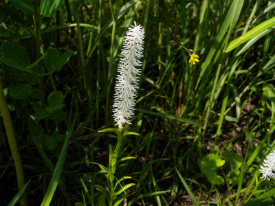 e0272335_8431794.jpg