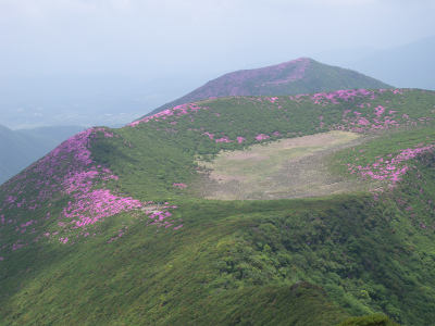 e0272335_891139.jpg