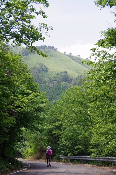 b0312736_19394751.jpg