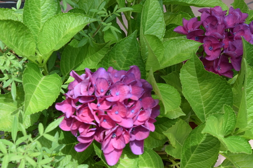 a0291938_16534730.jpg