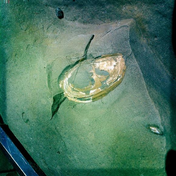 c0312349_1831157.jpg
