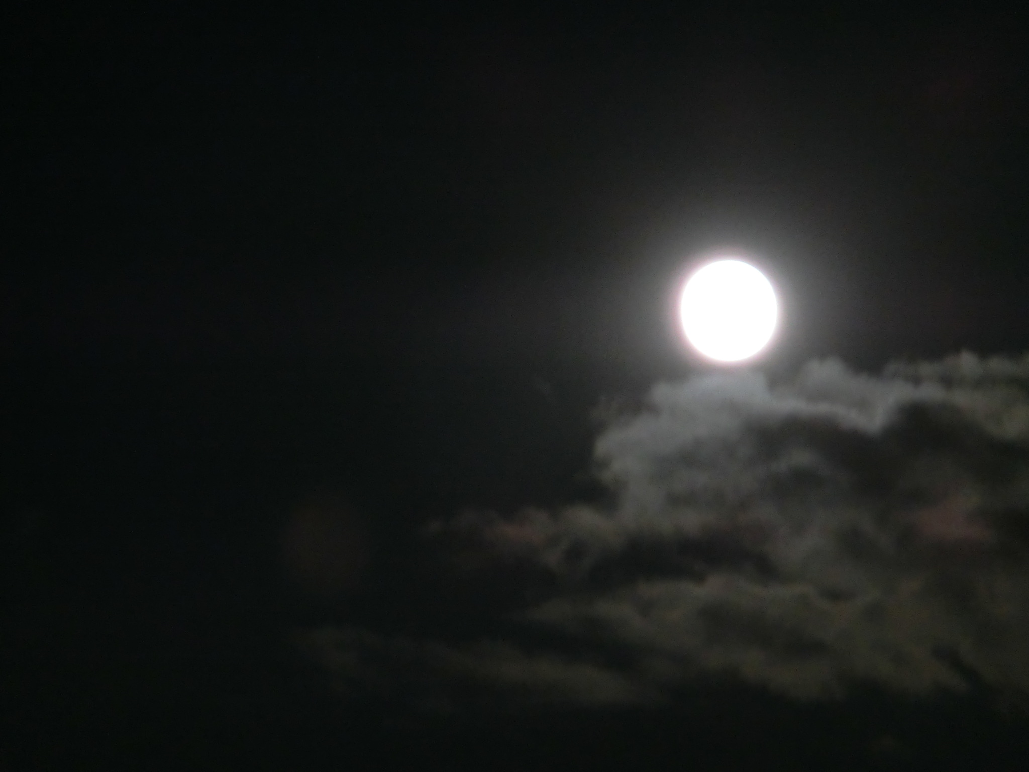d0205250_022766.jpg