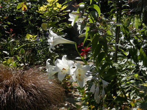 e0288951_1655244.jpg