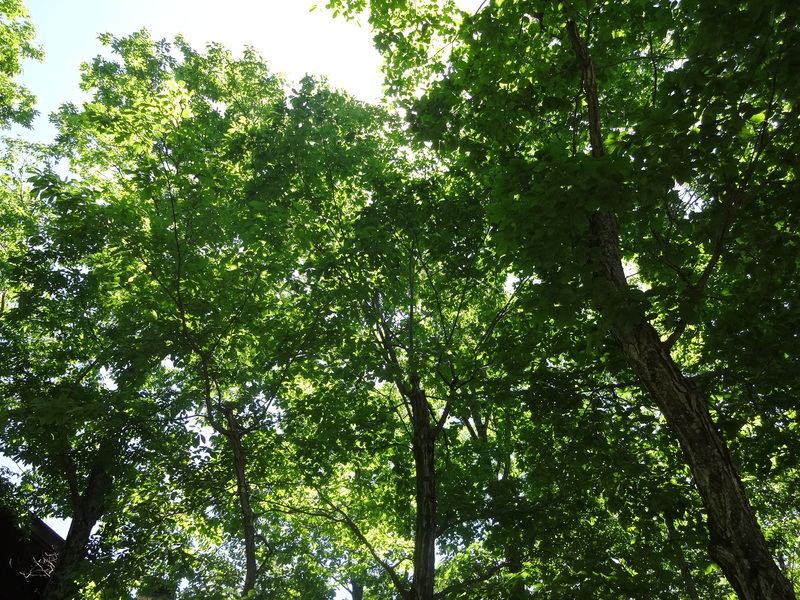 f0198556_2255580.jpg
