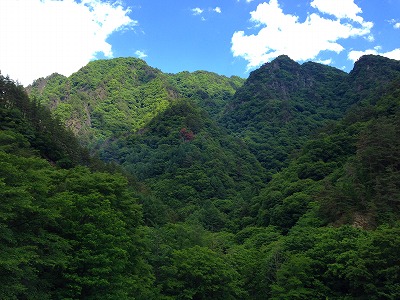 e0001860_21444.jpg