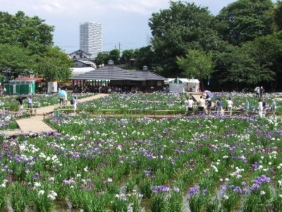 e0088260_12274538.jpg